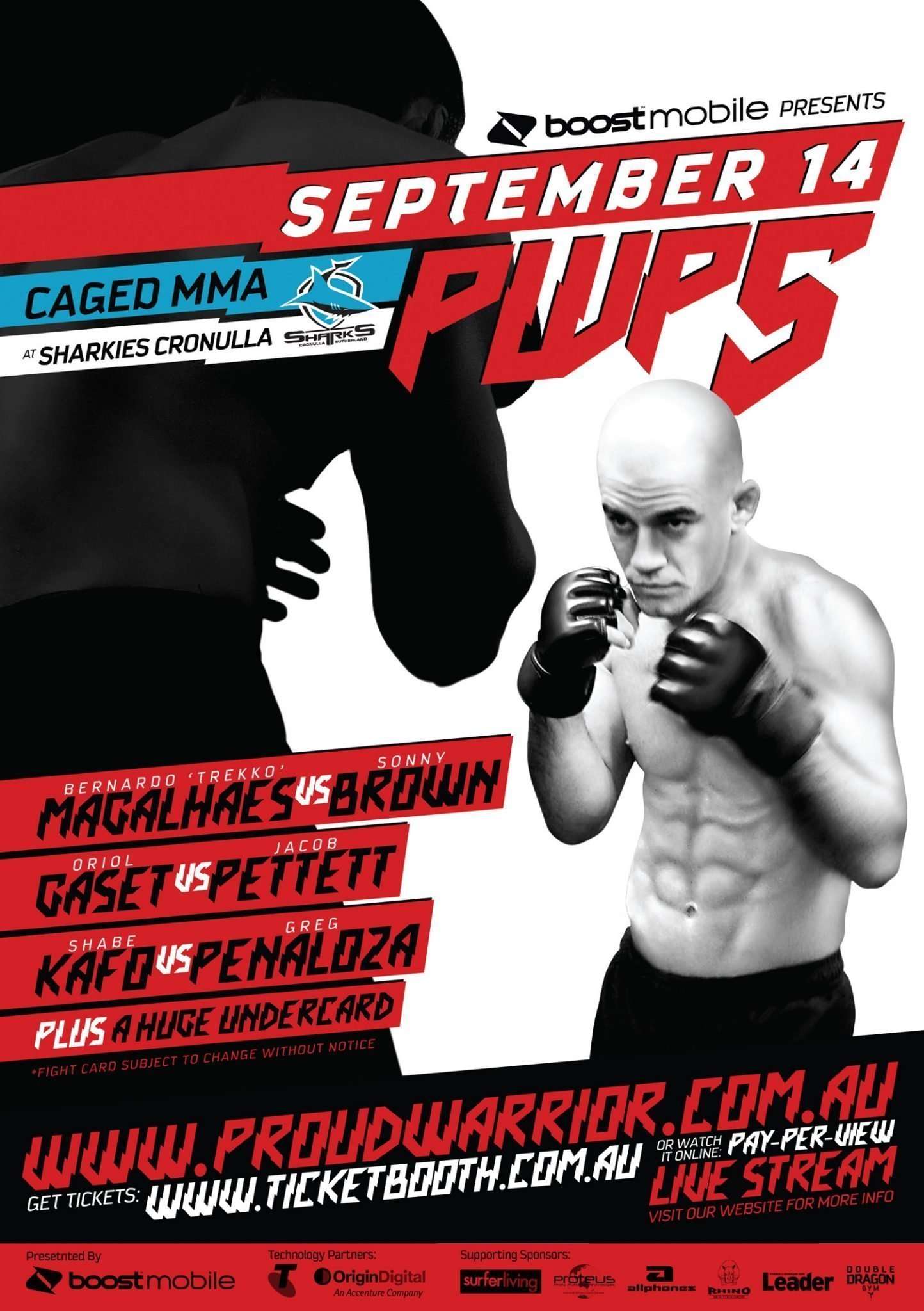 PWP 5 MMA Poster design