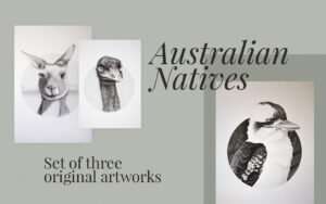 Australian Natives - set of three | Original Artwork