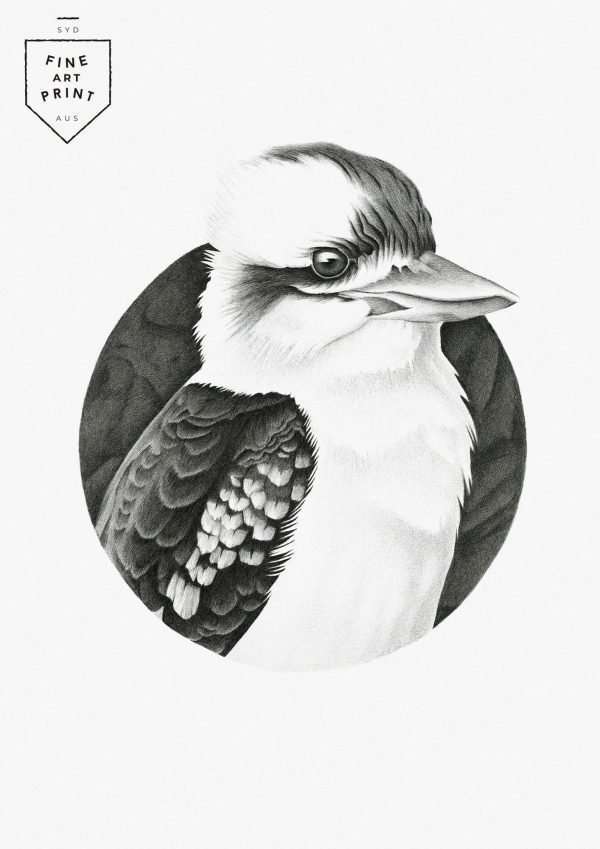 Kookaburra | Print