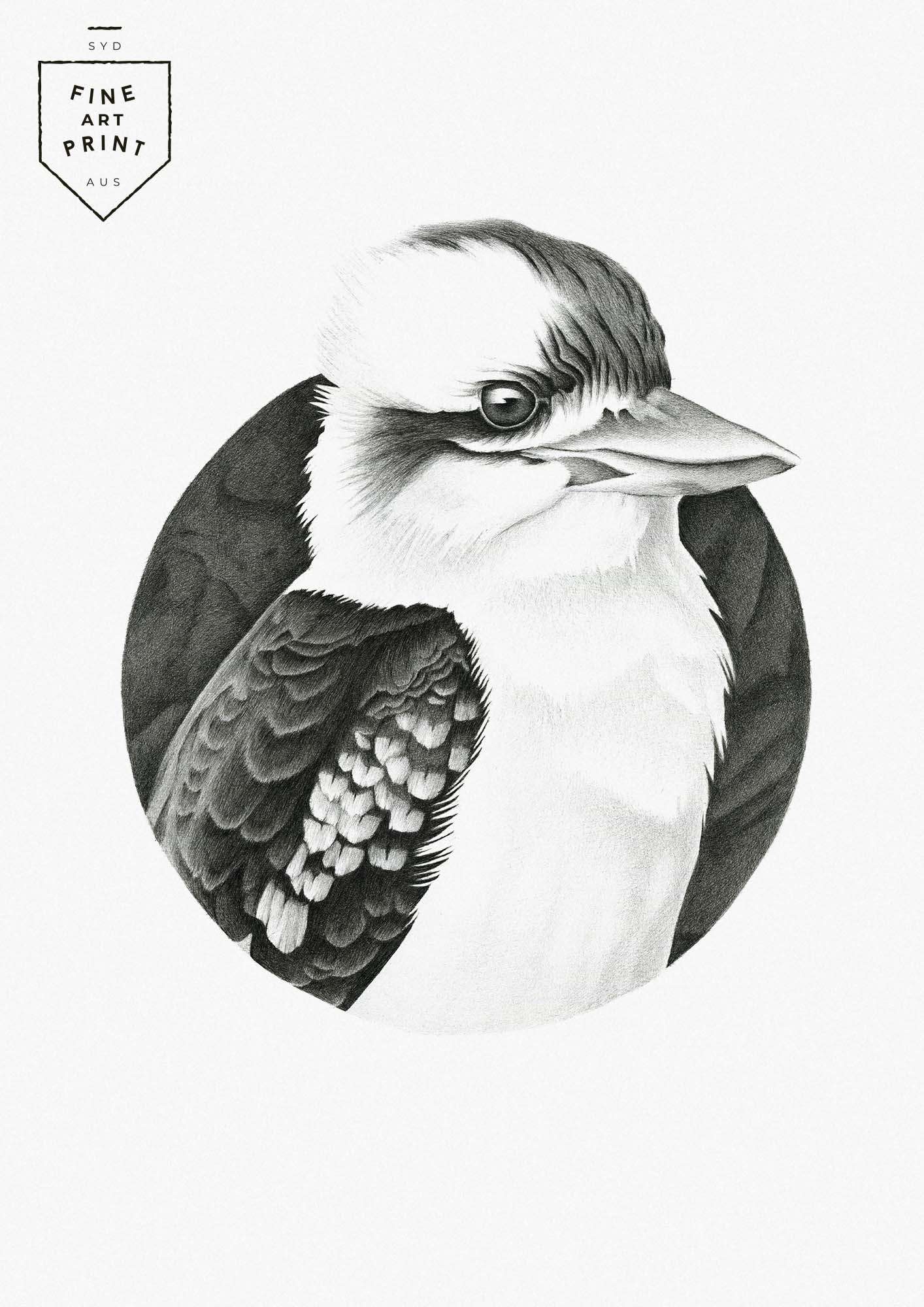 Kookaburra fine art print