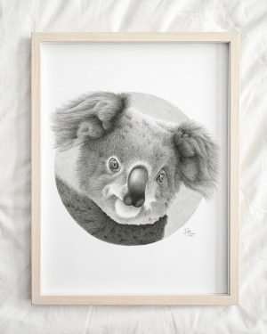 Koala | Original Artwork