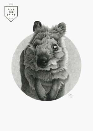 Quokka | Print