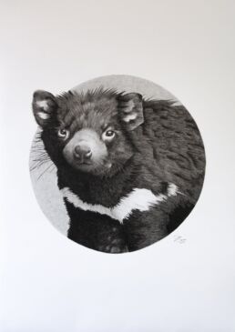 Tasmanian Devil photorealistic drawing