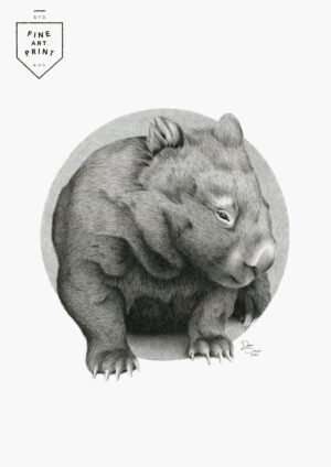 Wombat | Print