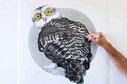 Powerful Owl photorealistic drawing