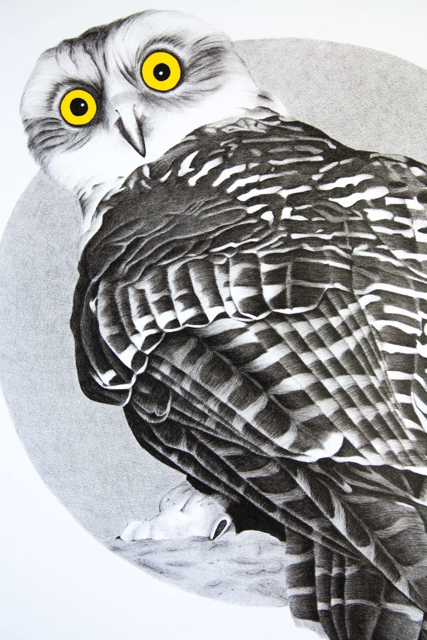 Powerful Owl – Dean Spinks Art