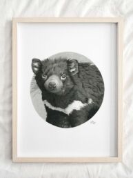 Tasmanian Devil framed artwork